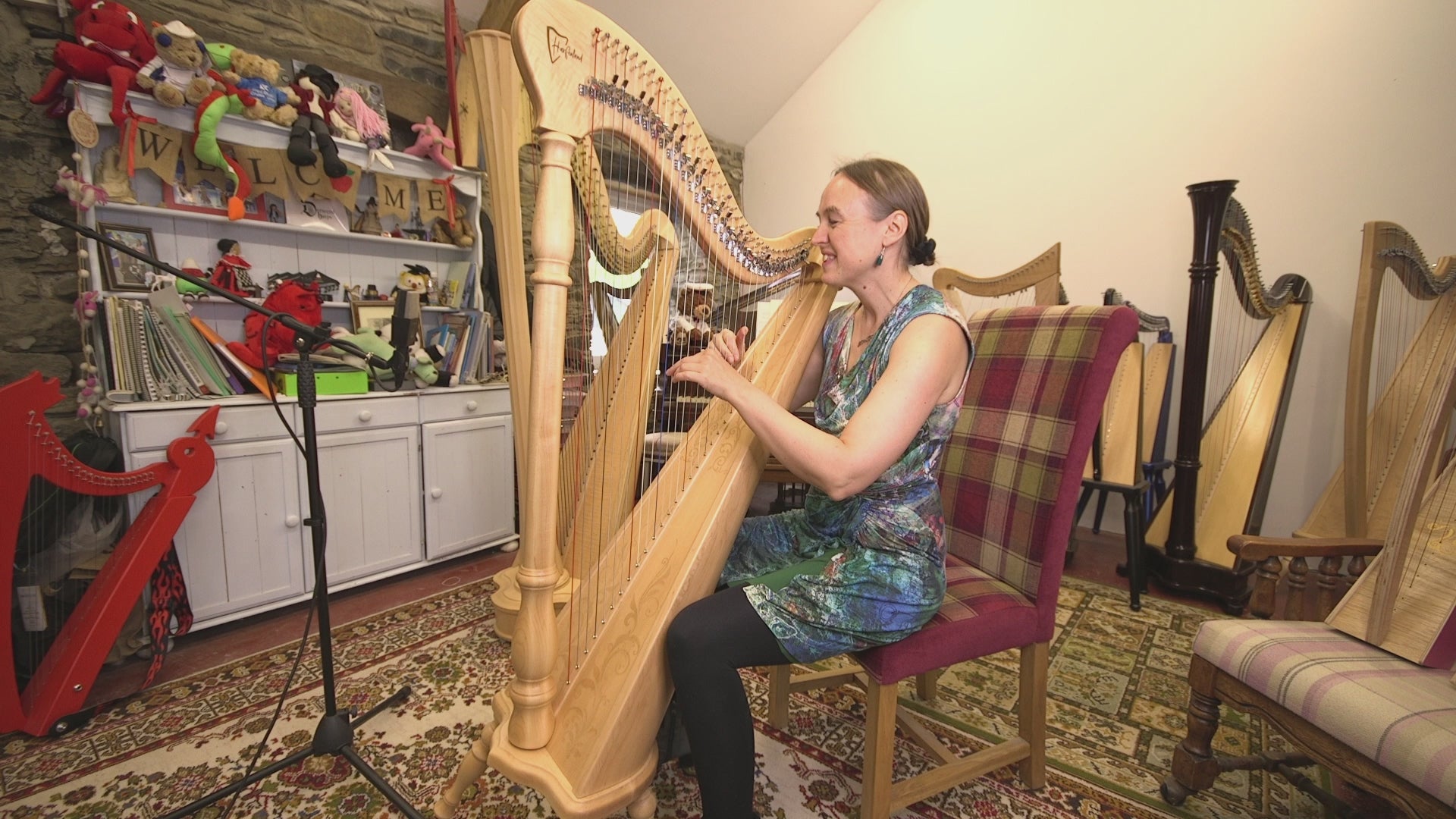 Hempson 34 string lever harp by Harfenland – Derwent Harps