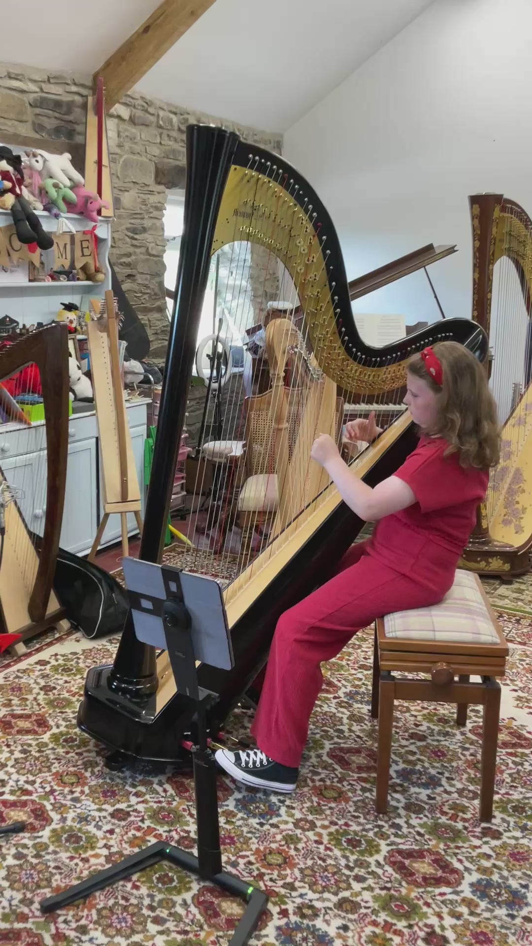 Aoyama Etude 46 Pedal Harp – Derwent Harps