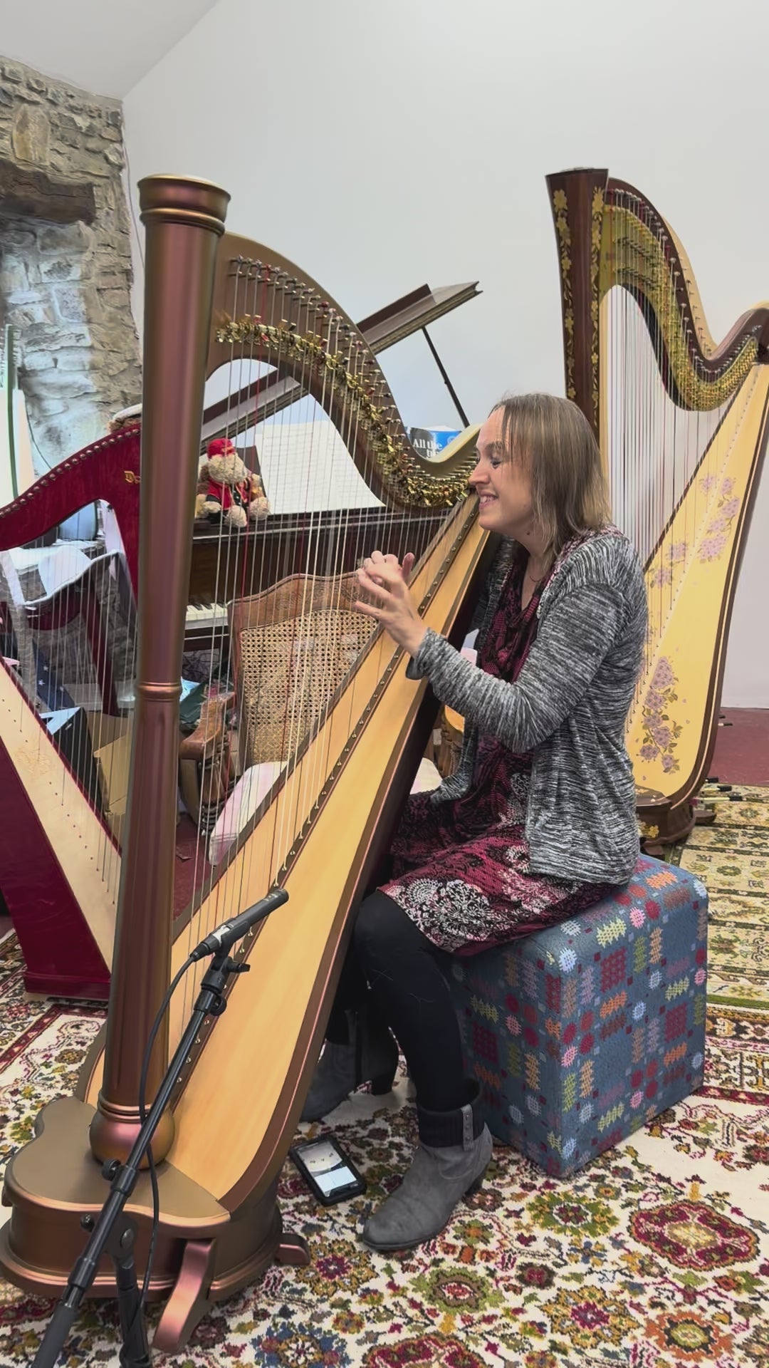 Princess Royale Extended Soundboard 40 String Lever Harp by