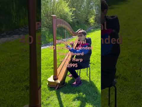 Princess Royale Extended Soundboard 40 String Lever Harp by