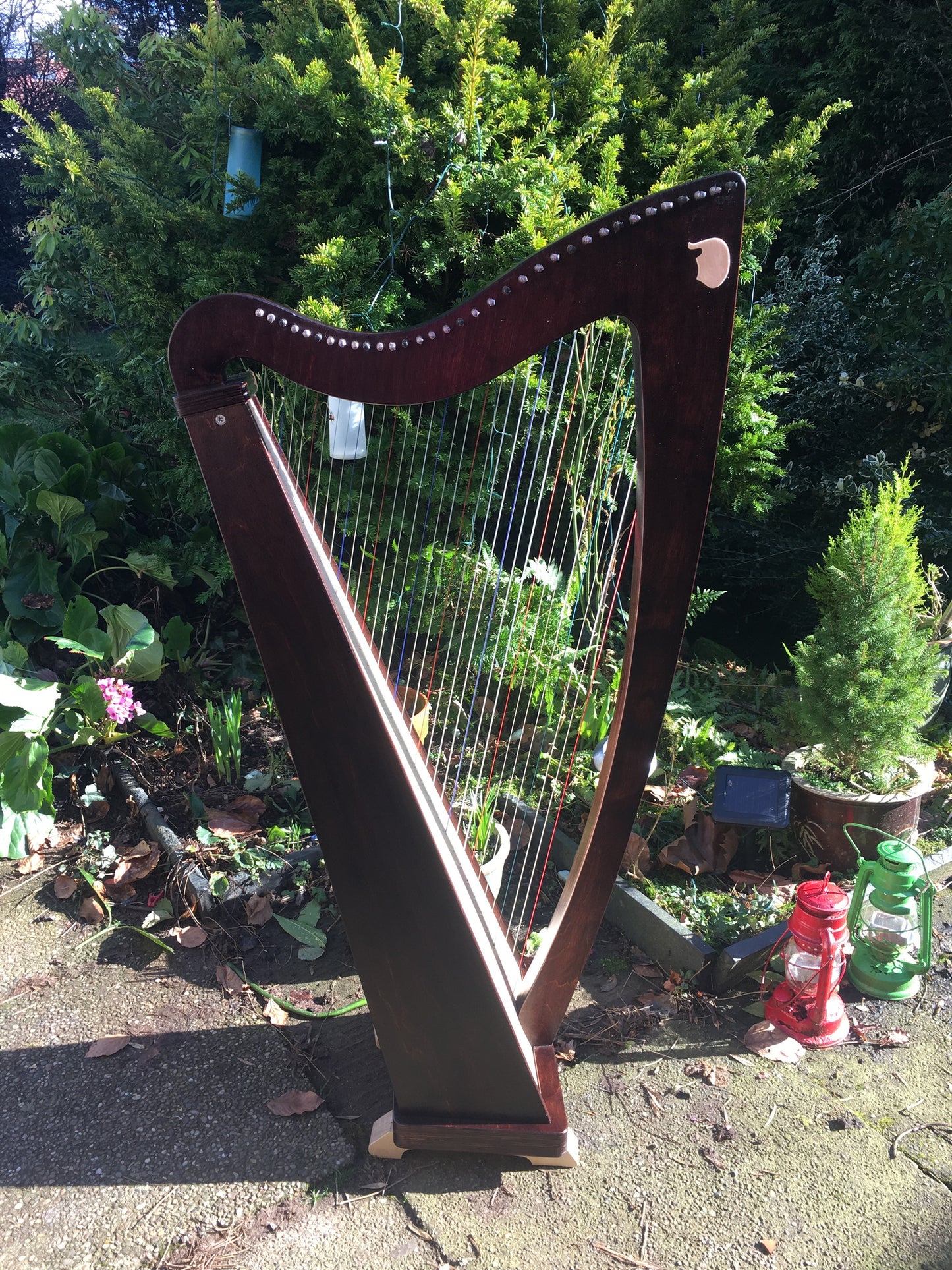 Derwent Harps Explorer 34 Made in Wales in Natural Wood Stain Finishes