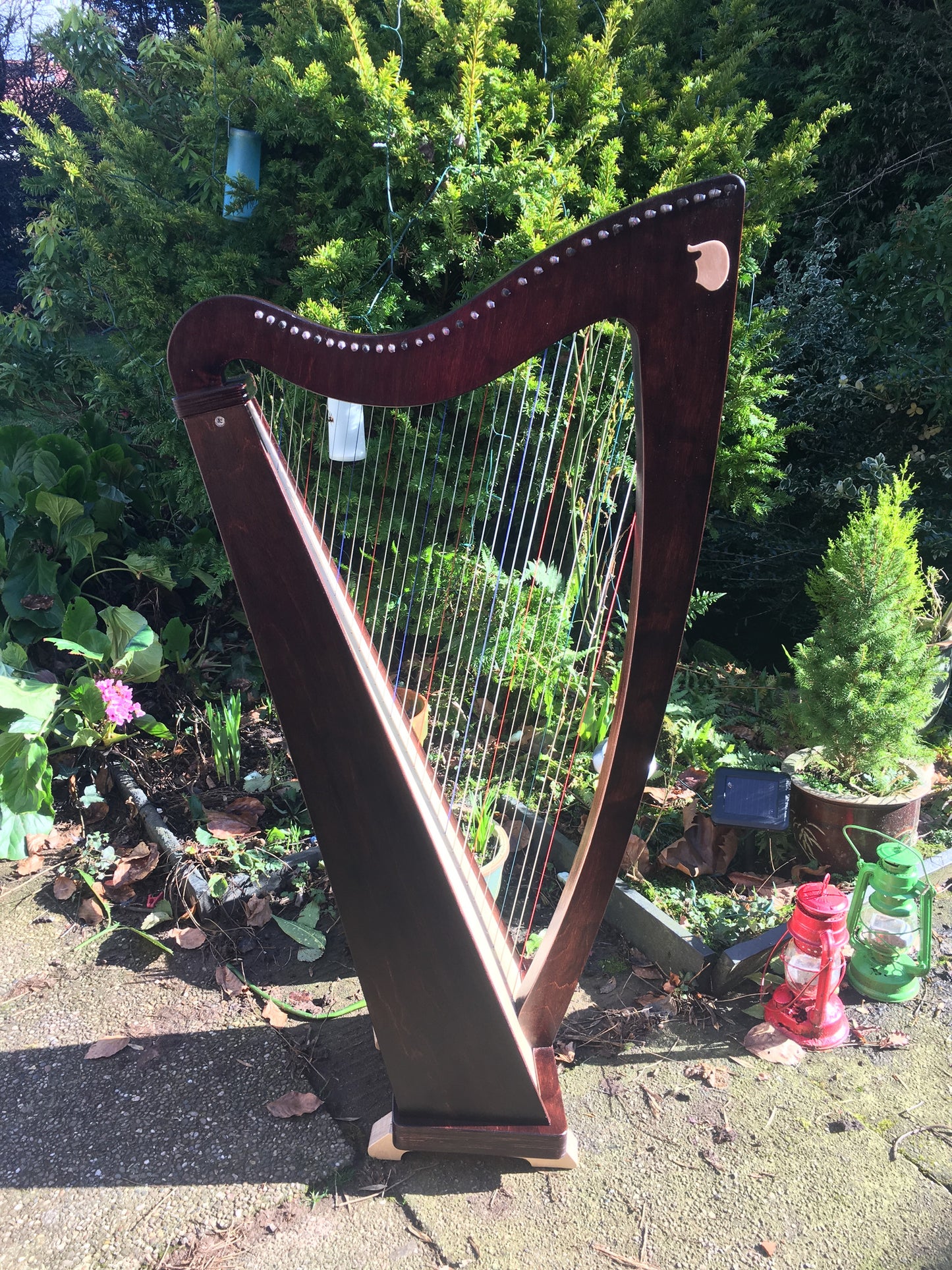 Derwent Harps Explorer 34 Made in Wales in Natural Wood Stain Finishes