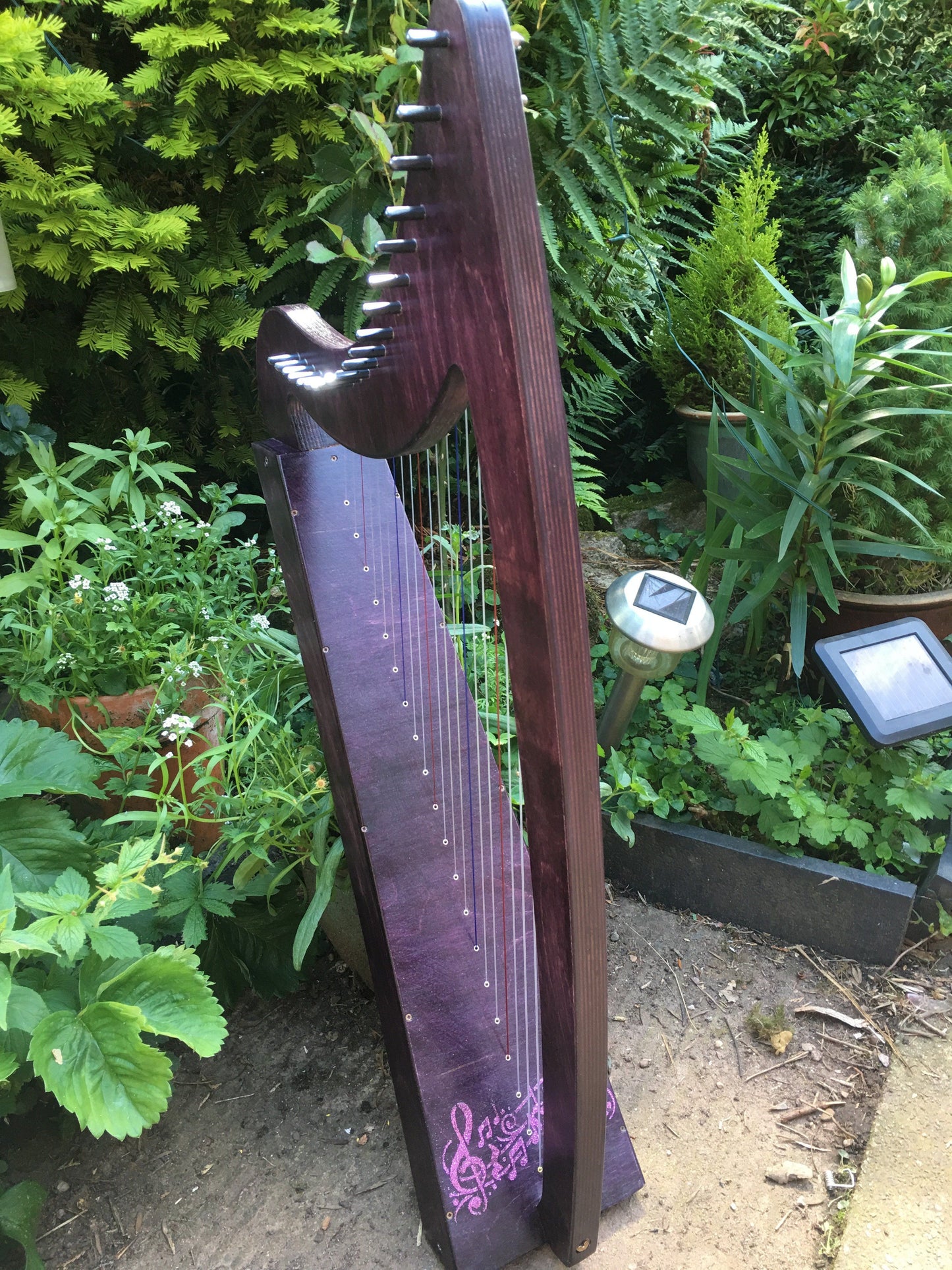 Derwent Harps Adventurer 20 in coloured wood stain Finishes Made in Wales with F and C Levers