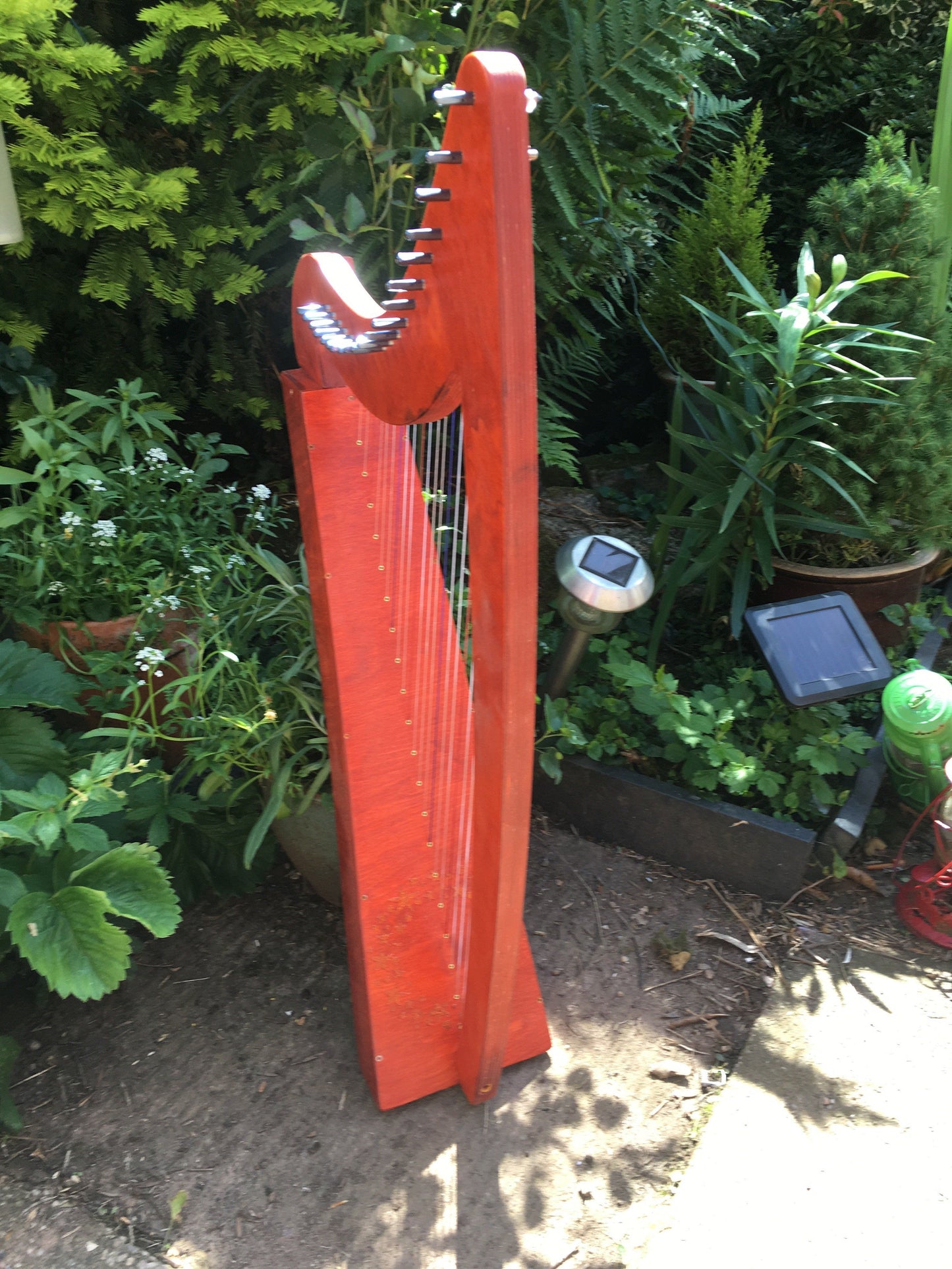 Derwent Harps Adventurer 20 in coloured wood stain Finishes Made in Wales with F and C Levers