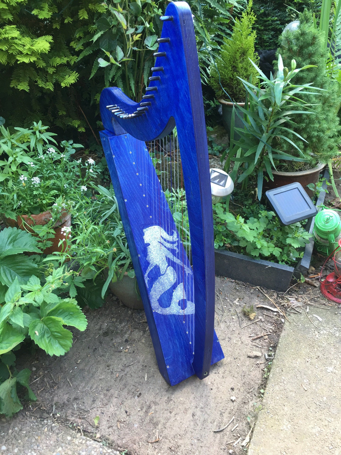 Derwent Harps Adventurer 20 in coloured wood stain Finishes Made in Wales with F and C Levers