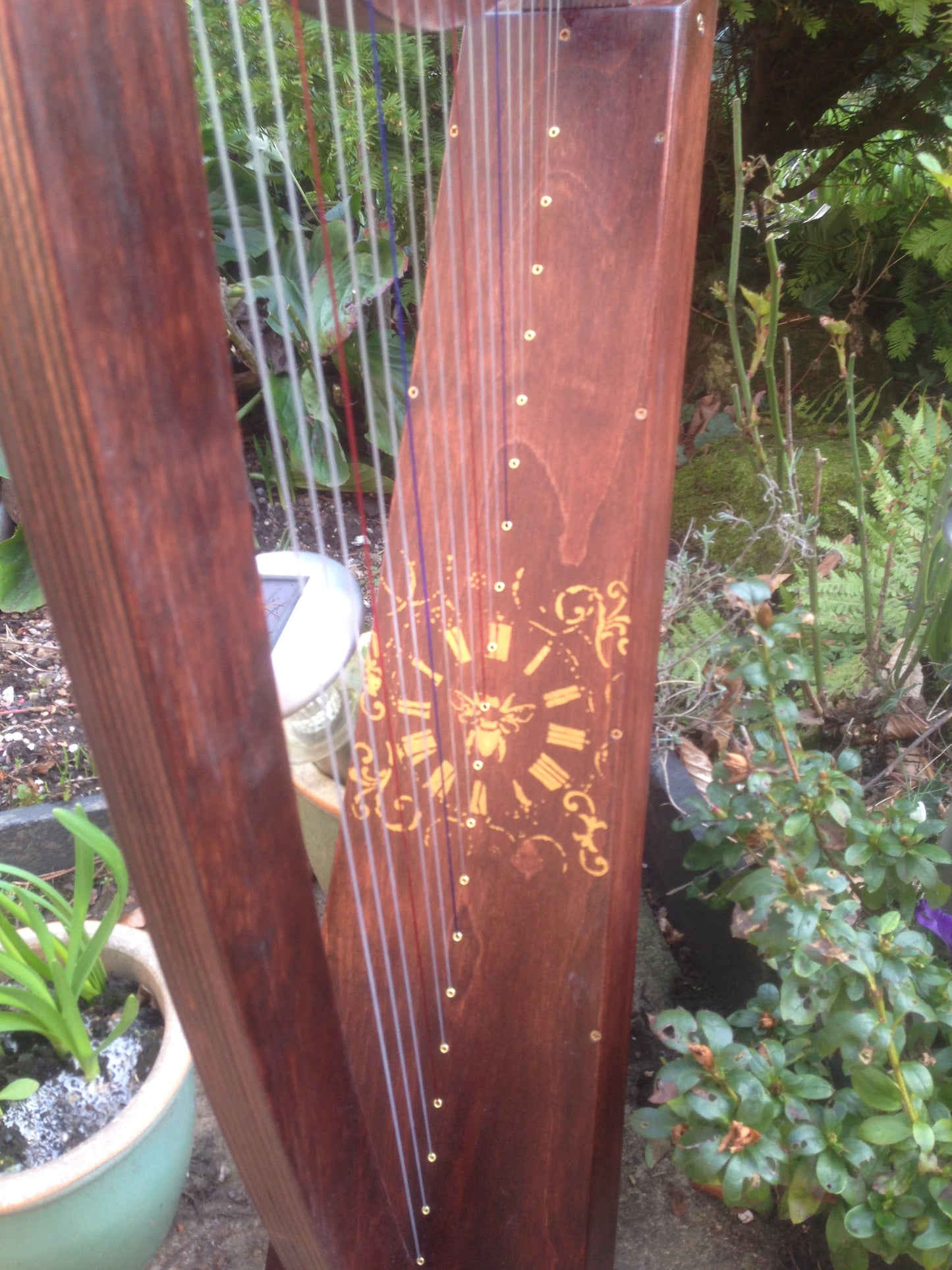 Derwent Harps Adventurer 20 in Natural Wood Finishes Made in England   derwent harps.myshopify.com