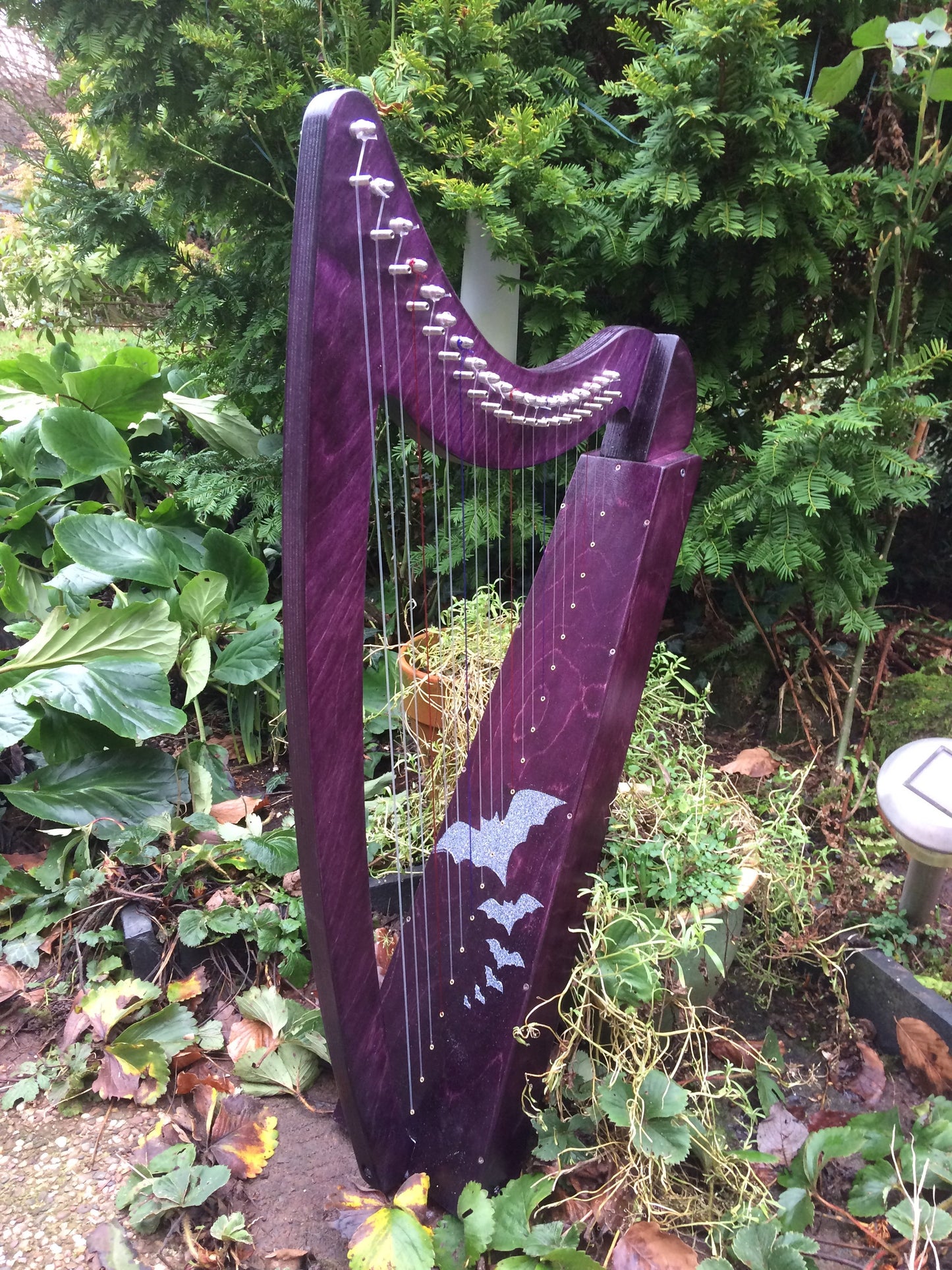 Derwent Harps Adventurer 20 in coloured wood stain Finishes Made in Wales with F and C Levers