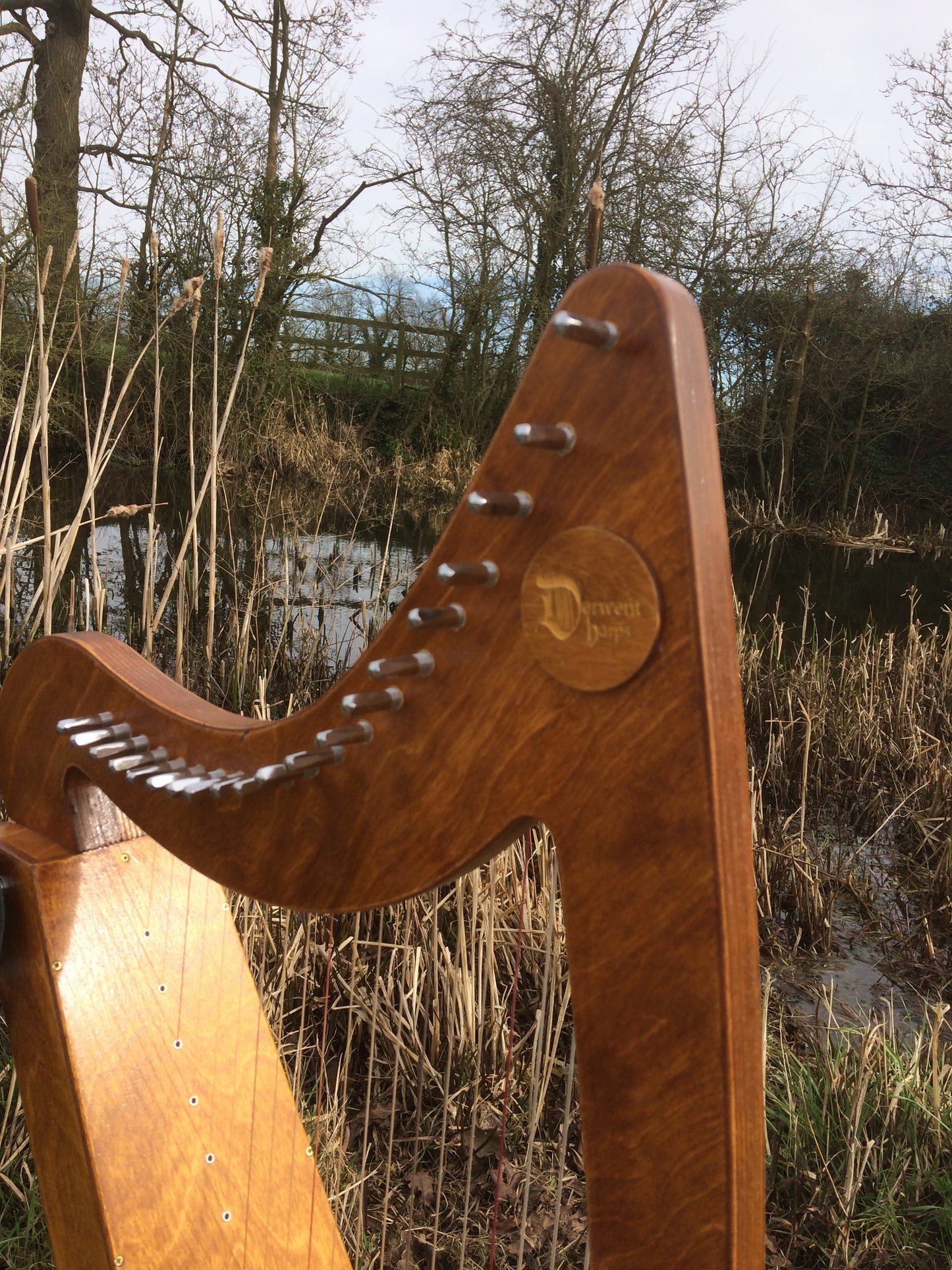 Derwent Harps Adventurer 20 with F and C Levers  in Natural Wood Finishes Made in Wales