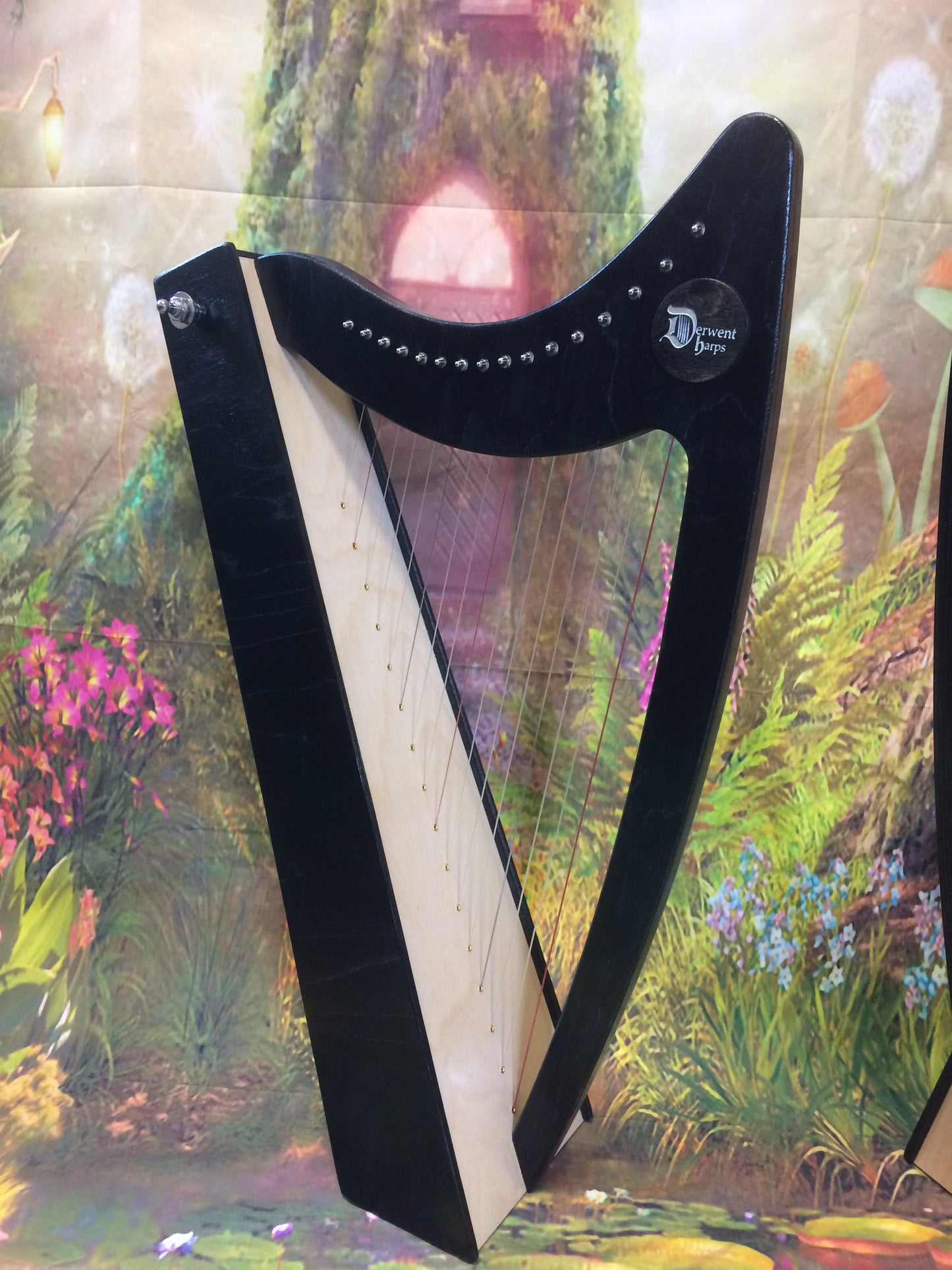 Discovery 16 Education Bundle - 10 Harps Plus teaching resouces for just £1499