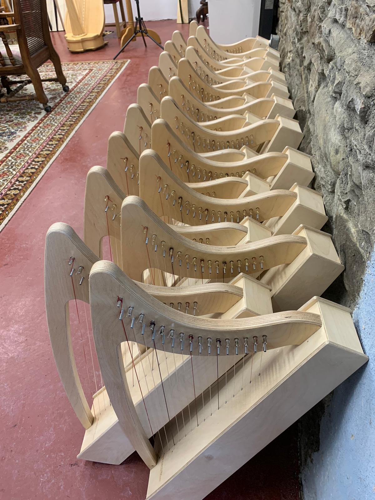 Discovery 16 Education Bundle - 10 Harps Plus teaching resouces for just £1499