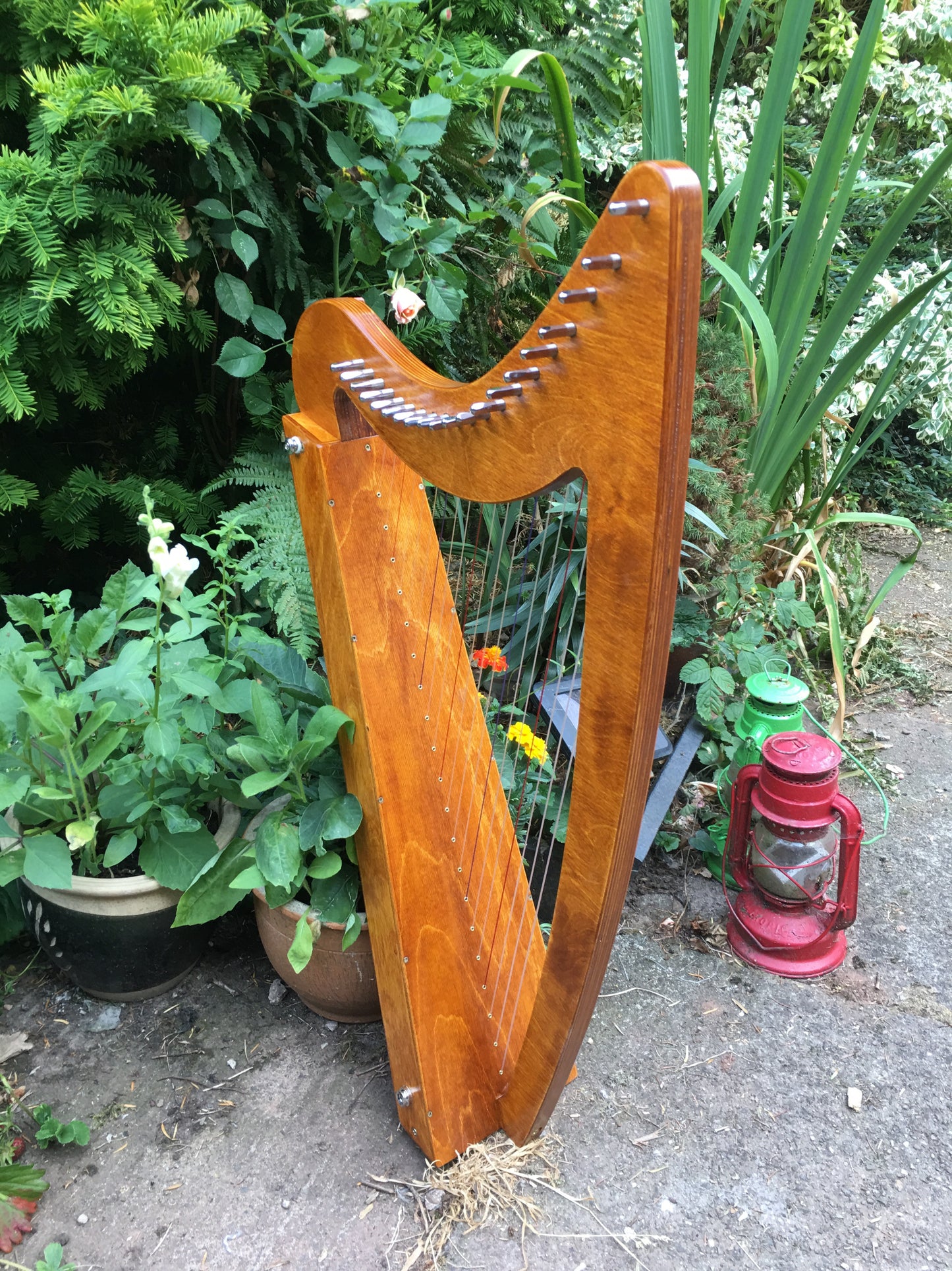 Pick Up For Adventurer 20 or Discovery 16 Harp