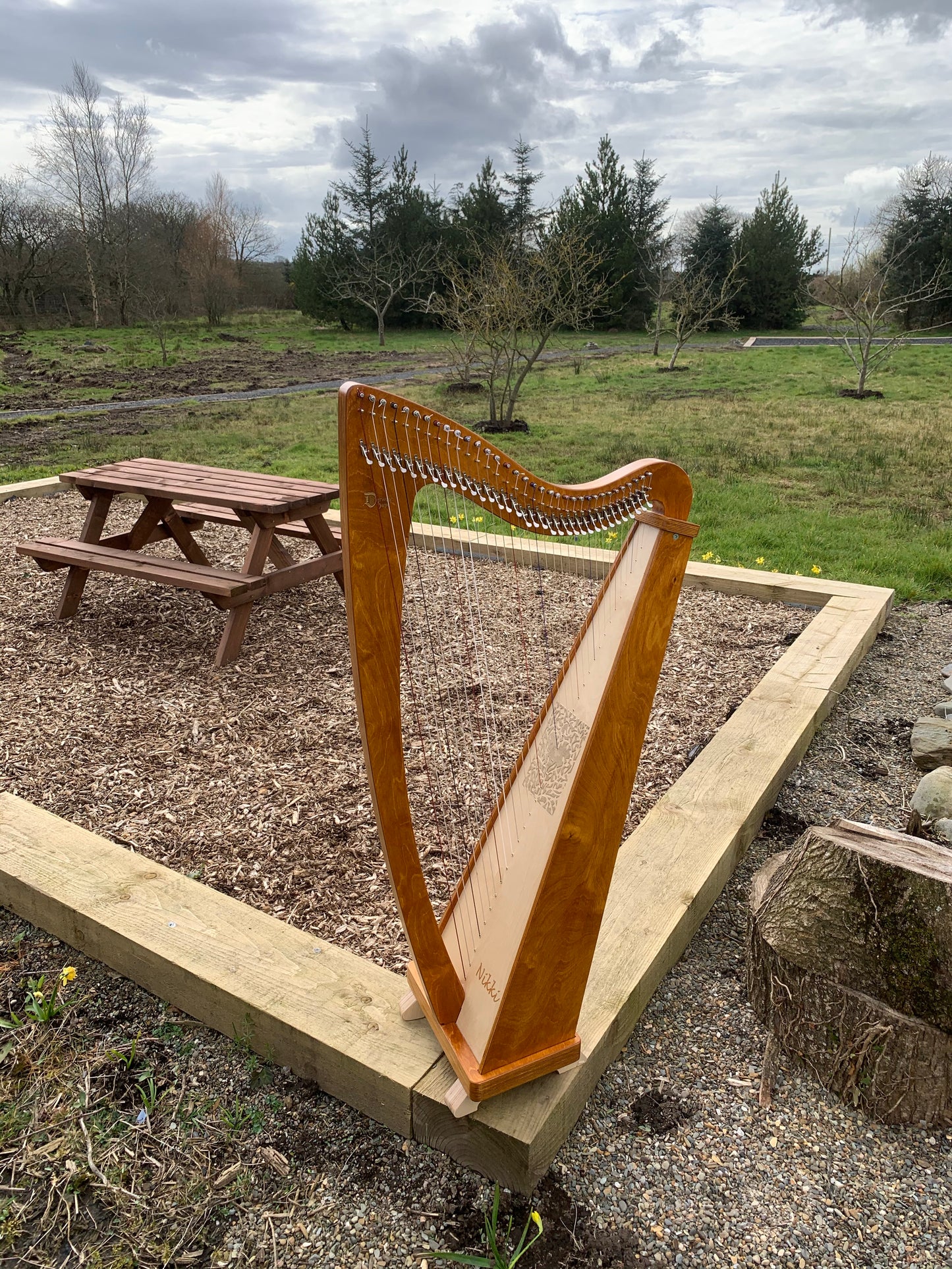 Derwent Harps Explorer 34 Made in Wales in Natural Wood Stain Finishes