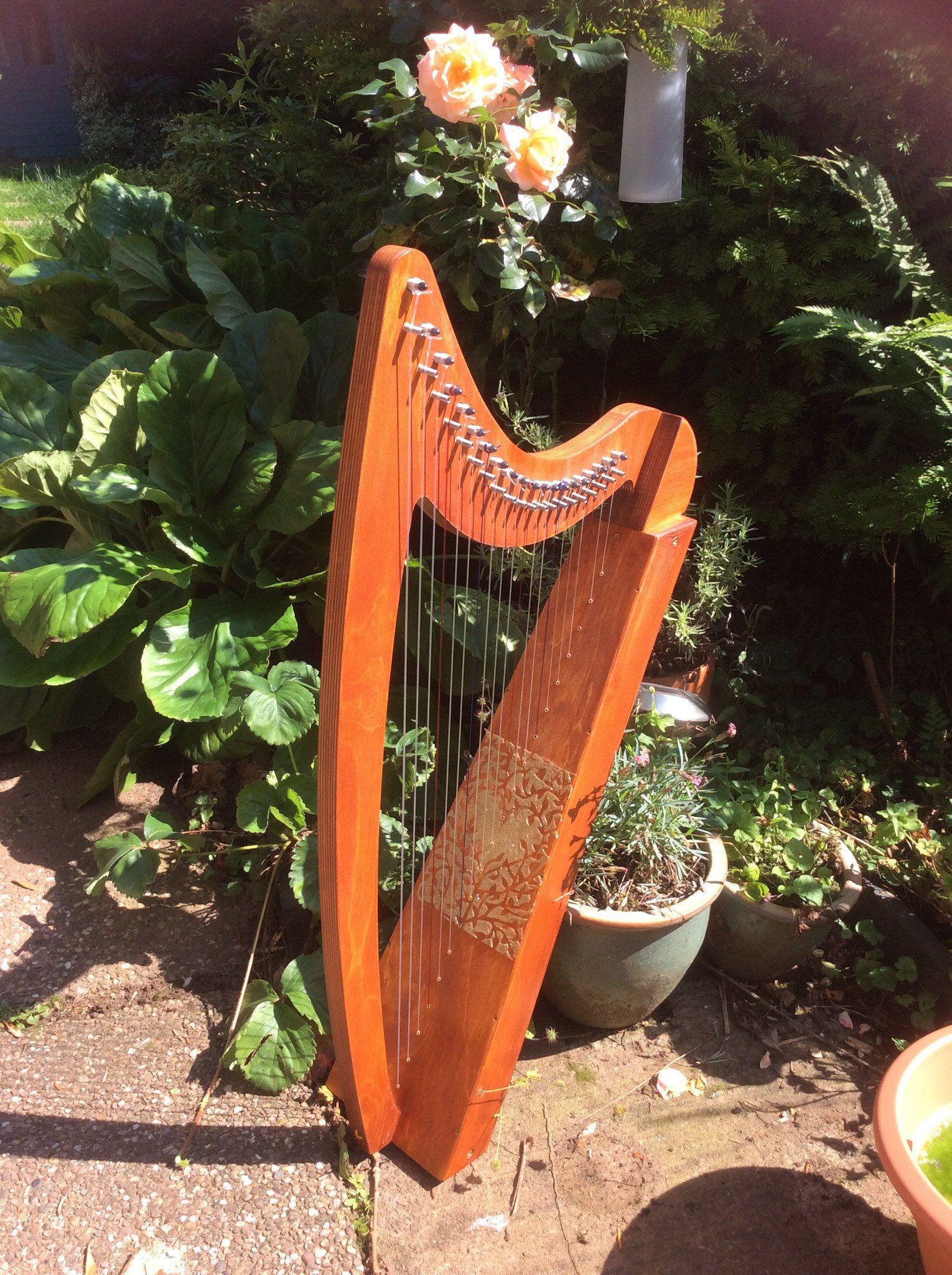 Derwent Harps Adventurer 20 in Natural Wood Finishes Made in England   derwent harps.myshopify.com
