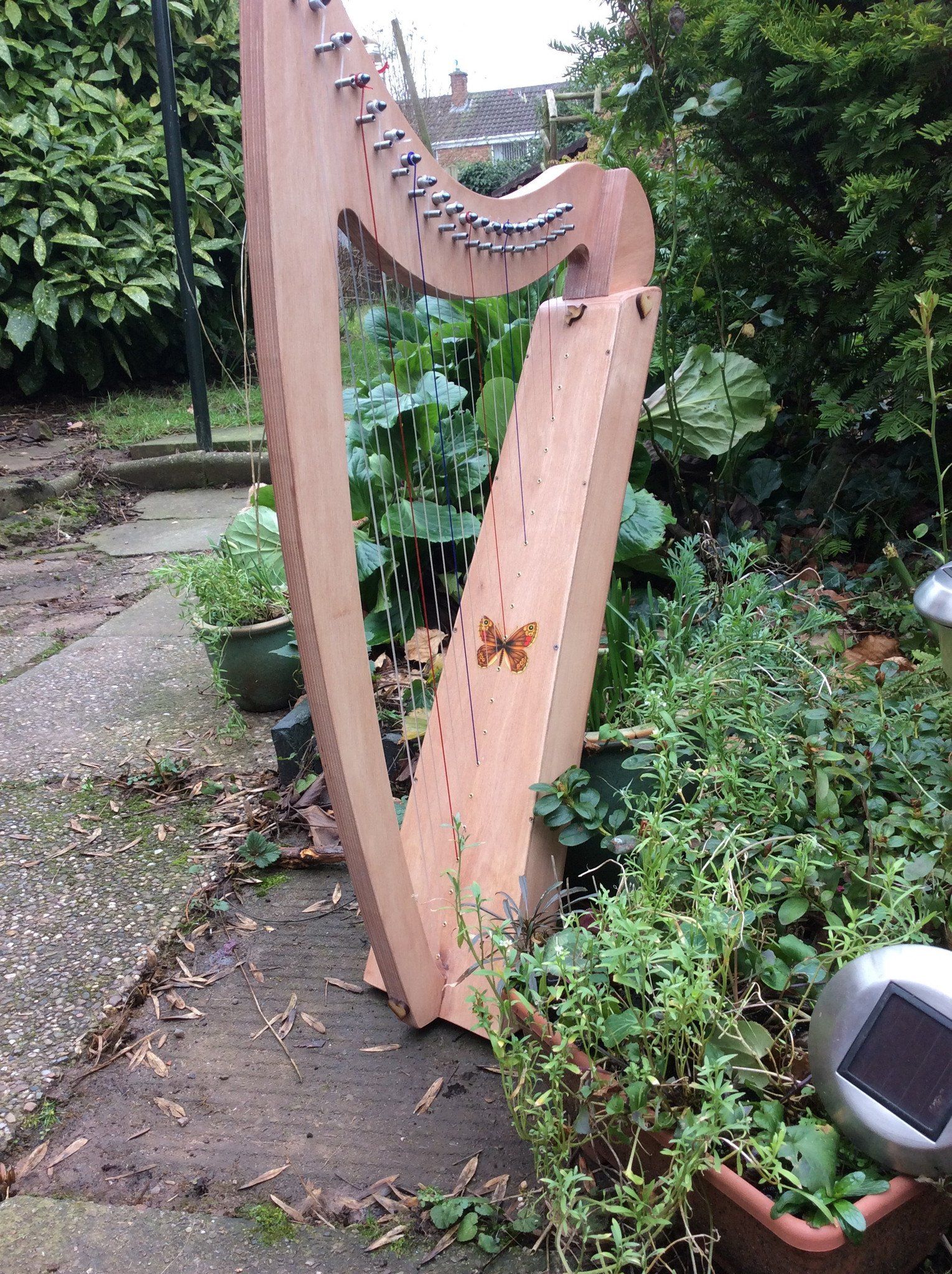 Derwent Harps Adventurer 20 in Natural Wood Finishes Made in England   derwent harps.myshopify.com