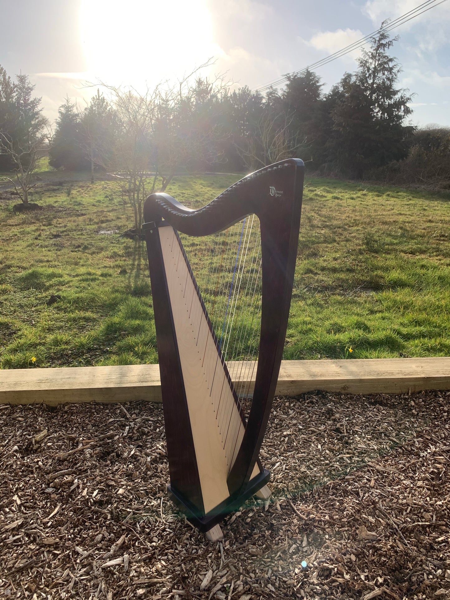 Derwent Harps Explorer 34 Made in Wales in Natural Wood Stain Finishes