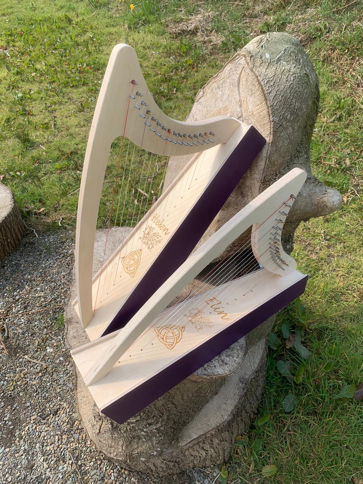 Discovery 16 Education Bundle - 10 Harps Plus teaching resouces for just £1499