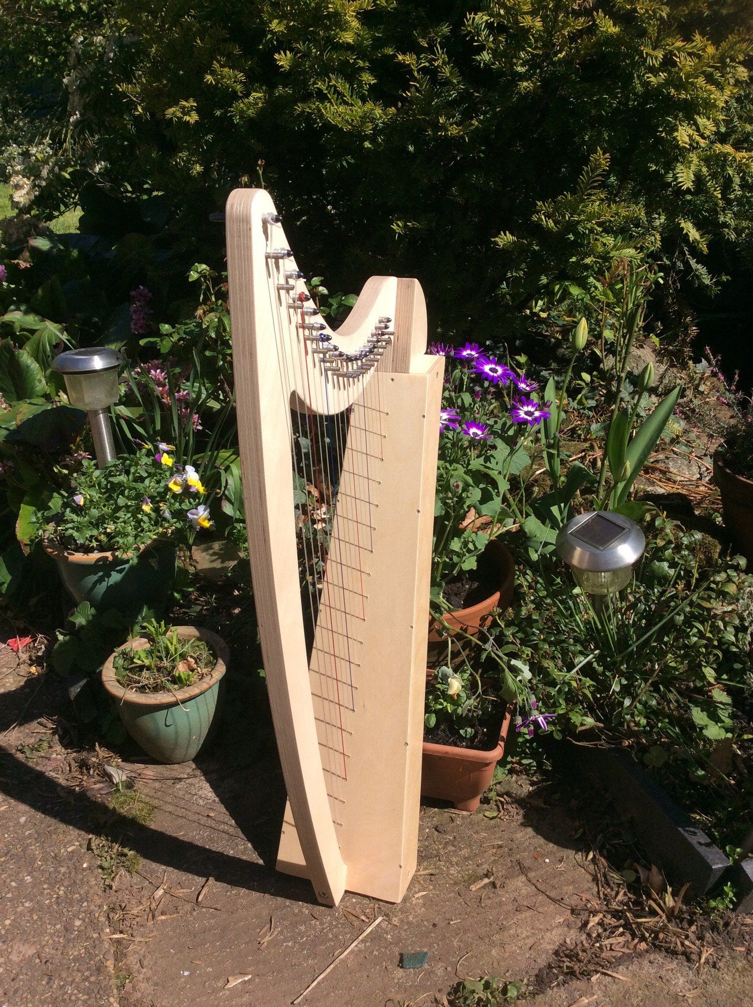 Derwent Harps Adventurer 20 in Natural Wood Finishes Made in England   derwent harps.myshopify.com