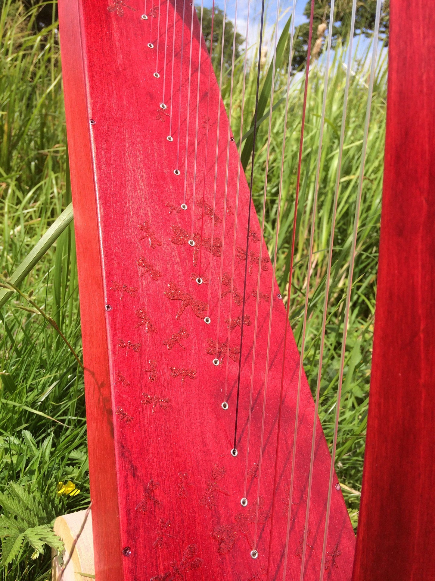 Derwent Harps Adventurer 20 in coloured wood stain Finishes Made in Wales with F and C Levers