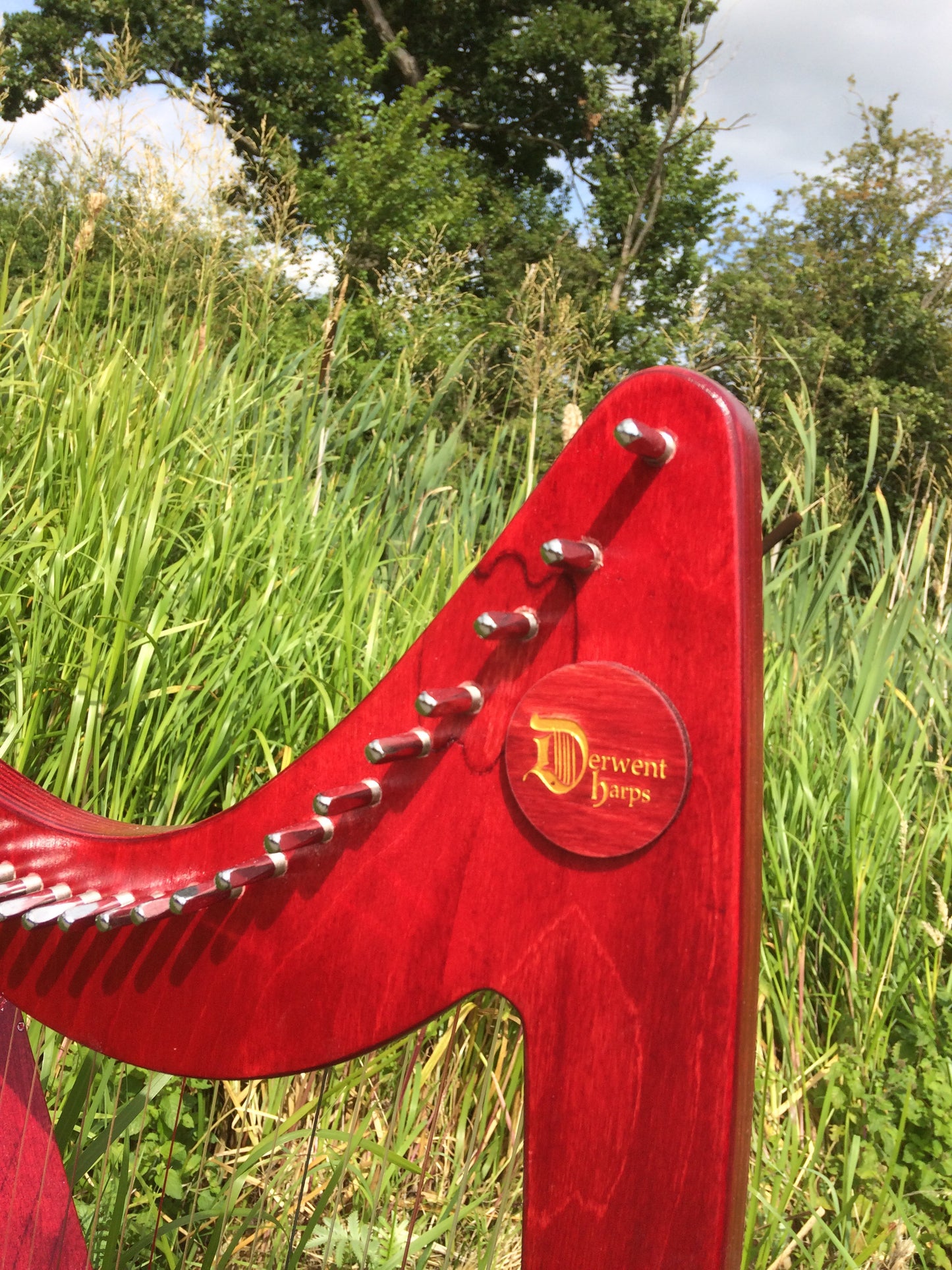 Derwent Harps Adventurer 20 in coloured wood stain Finishes Made in Wales with F and C Levers