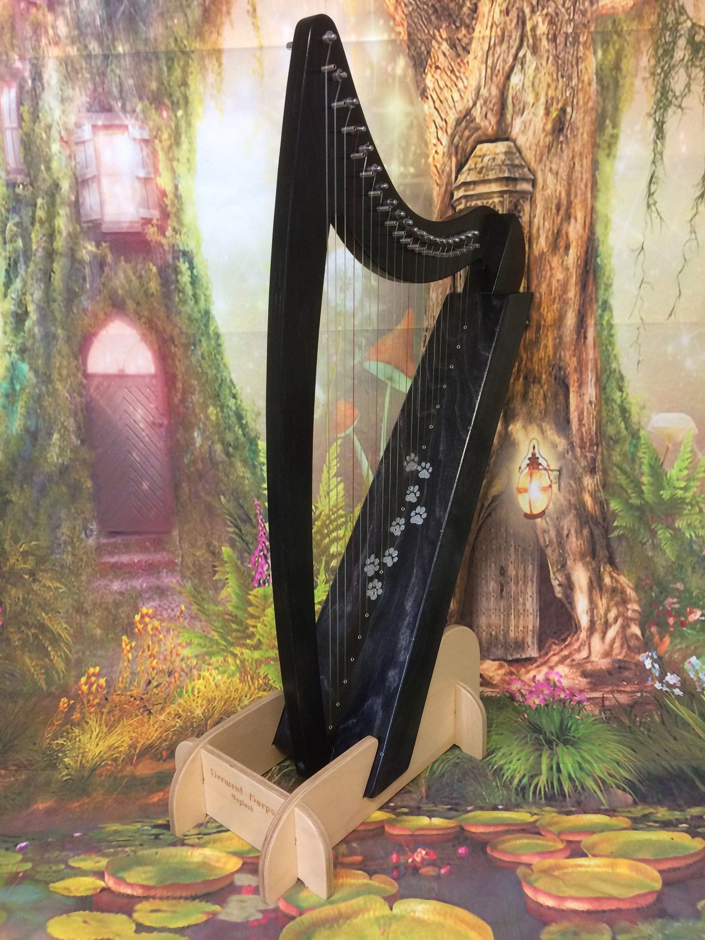 Derwent Harps Adventurer 20 in coloured wood stain Finishes Made in Wales with F and C Levers