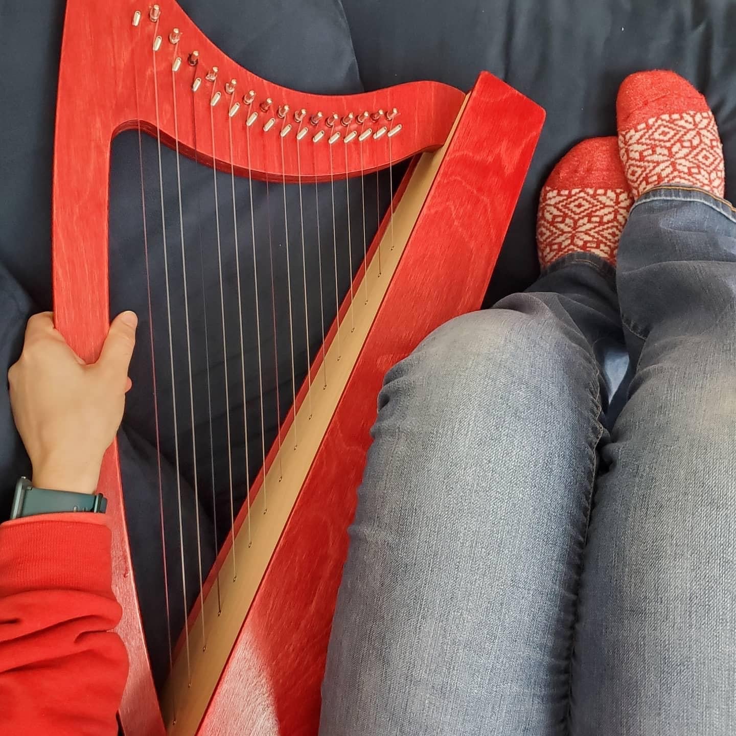 Discovery 16 Education Bundle - 10 Harps Plus teaching resouces for just £1499